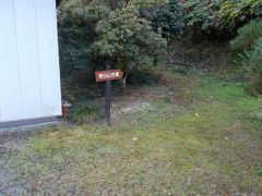 ���ԏ�e�ɌÕ��ւ̓���������B