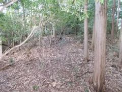 ��ՂƂ��Ă̕W���͂Ȃ������B�쐼�̋ȗւ����s������]�ށB