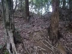 ������R������Ɩk���ɖx�؂�������̂ł����o��B