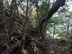 �x�؂ɂ���ڈ�̃e�[�v�B