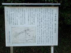 �o�R���e�ɐ��������B