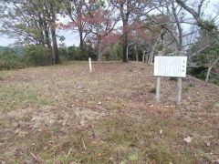 �{�ۂ𐼂��]�ށB