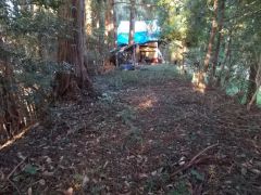 �Гa�̂����s���R�ʂ𐼂��]�ށB