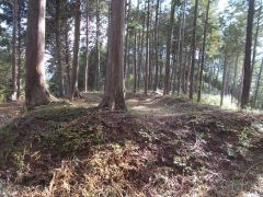 �������̏��ȗւ̓y�ۂ�k����]�ށB