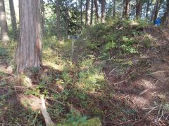 �W���ɏ]���i�ނƌ����Ȗx�؂�����B