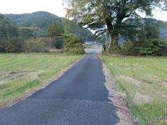 �ږ؍\��쐳�ʂ��]�ށB