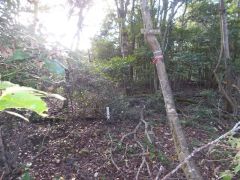 ��s���𓌂��]�ށB