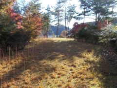 ��s�𐼂��]�ށB