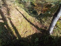 ��s���ɂ���x�؂����]�ށB