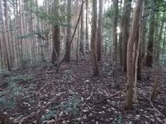 �l�ȗ֓���k�����]�ށB