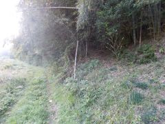 �쉺����ƒ����ɎR�ɓ��铹������B