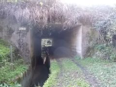 ���P�R���璆�������ԓ��k���`���ɐ��i���ĂуA���_�[�p�X������ē쉺����B