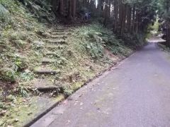 �O���E���h����k���ɐi�ނƎR�ɓ��铹������B�V�����͂������肵�Ă���A10�����x�Ŗ{�ۂɎ���B