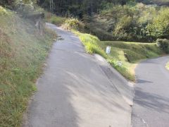 �o����e�ɏ񂪒u����Ă���B�䍂��100m���x�����A�����ܑ̕����ꂽ�}��ő��ɂ͂����B