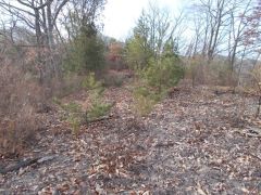 �k���R�����R�ʂ�]�ށB