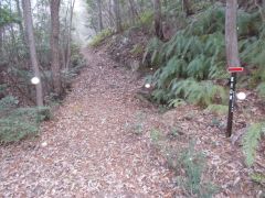 �o�R���ւ̕���_�B�䍂��100m���x�ł���B