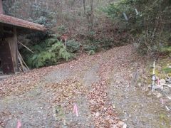 ���Ƃ̑O����i�ނƍ�Ə����O�ɓ��W������B