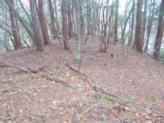 ��ȗ֓���k���]�ށB