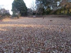 �ȗ֓��쓌�����̓y�ۂ�]�ށB