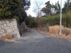 ����������k�ɑ��铹�ɓ���k�シ��B