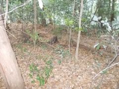 ���k���̓y�ۂ�]�ށB