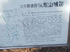 ���ԏ�ɏ����򉻂������������B