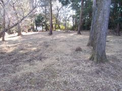 �{�ȗւ𐼂��]�ށB