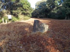 �Q�ȗւ̕��R�ʂ𓌂��]�ށB