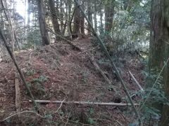 �P�ȗւ̖��͂���قǍ����͂Ȃ������B�k���̓y�ۂ�쐼���]�ށB