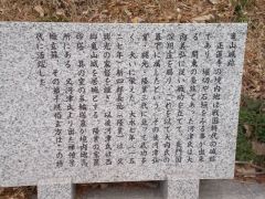 ���̓����̒��ԏ�e�ɐ��������B