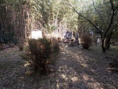 ��s���𐼂��]�ށB