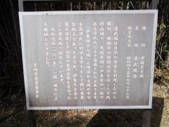 ���������B