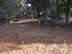 ��ȗ֕�����쐼���]�ށB