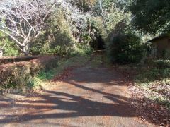 ���ԏ�e��������ɐi�ށB�䍂50m���x�A�k��10�����x�ł���B