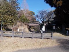 ��{�ۂƐ���̊Ԃ̖x�؂����]�ށB