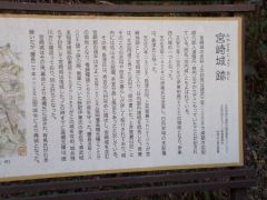 ���莛���ɗ�������