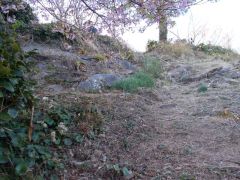 ��ՂƂ��Ă̐������͂Ȃ������B�쑤�Ί_��쉺���]�ށB