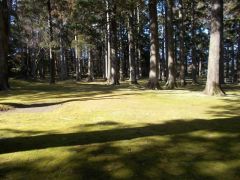 ���{�ۓ������]�ށB