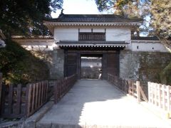 �������ꂽ����B�����������ɓ���B