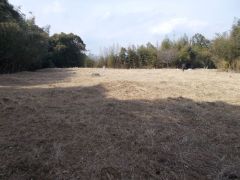 �{�ۂ𓌂��]�ށB