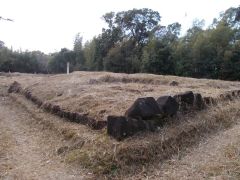 ���B�̏�Ƃ��Ă͗B��̓V���Ղ�k���]�ށB