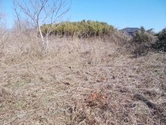 �V���삩��]�ށB���̋��͍k������n�̂悤�ł���B